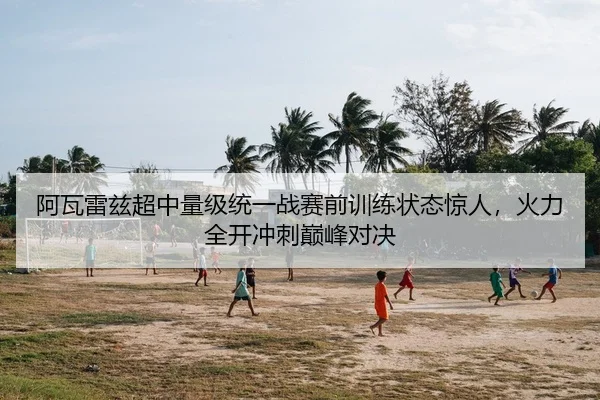 阿瓦雷兹超中量级统一战赛前训练状态惊人，火力全开冲刺巅峰对决