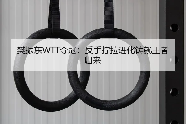 樊振东WTT夺冠：反手拧拉进化铸就王者归来